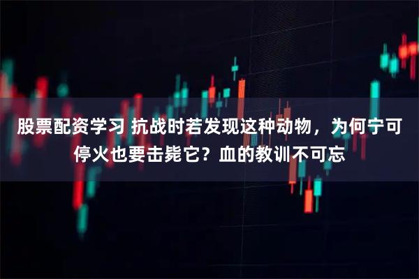 股票配资学习 抗战时若发现这种动物，为何宁可停火也要击毙它？血的教训不可忘