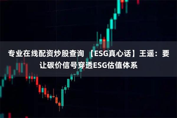 专业在线配资炒股查询 【ESG真心话】王遥：要让碳价信号穿透ESG估值体系