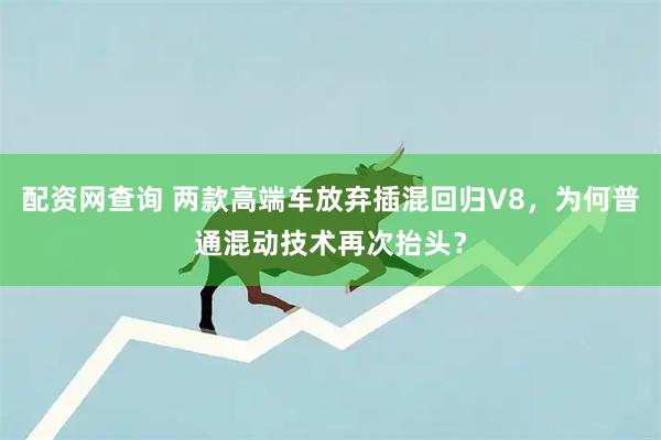 配资网查询 两款高端车放弃插混回归V8，为何普通混动技术再次抬头？